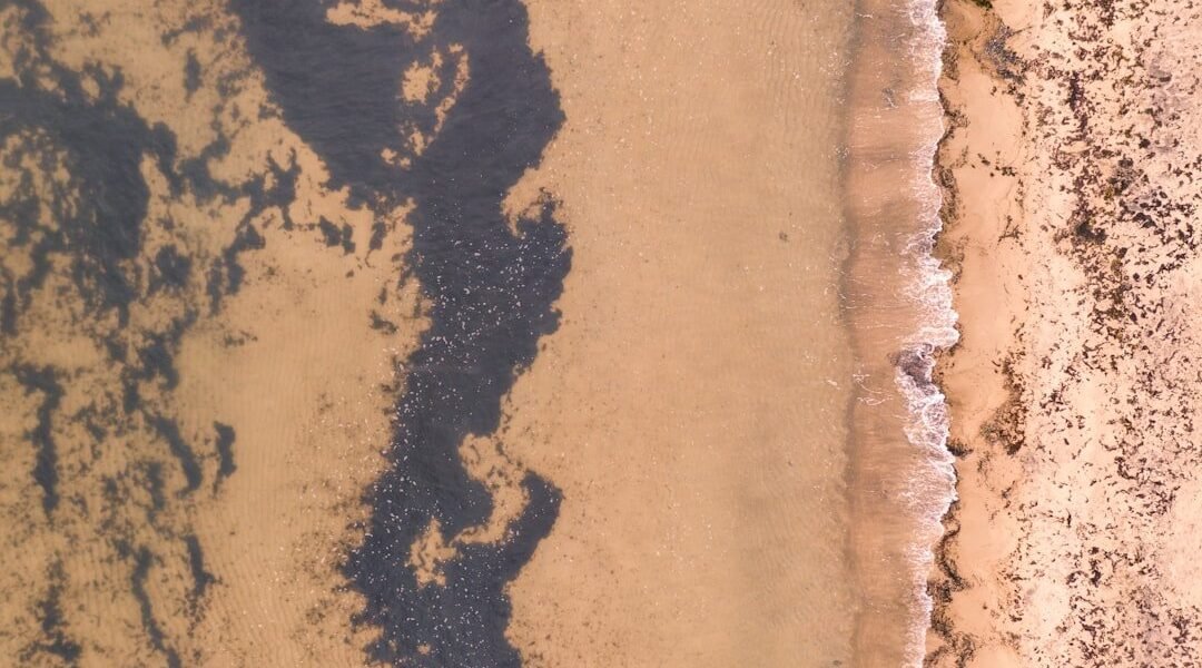 Crudo tóxico invade costas veracruzanas: nueve días sin respuestas