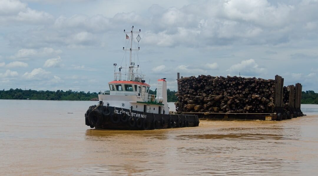 La otra frontera: cómo la minería ilegal desangra el río San Juan