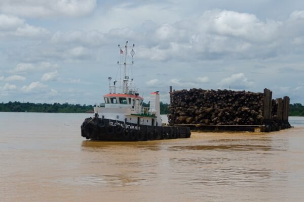 La otra frontera: cómo la minería ilegal desangra el río San Juan