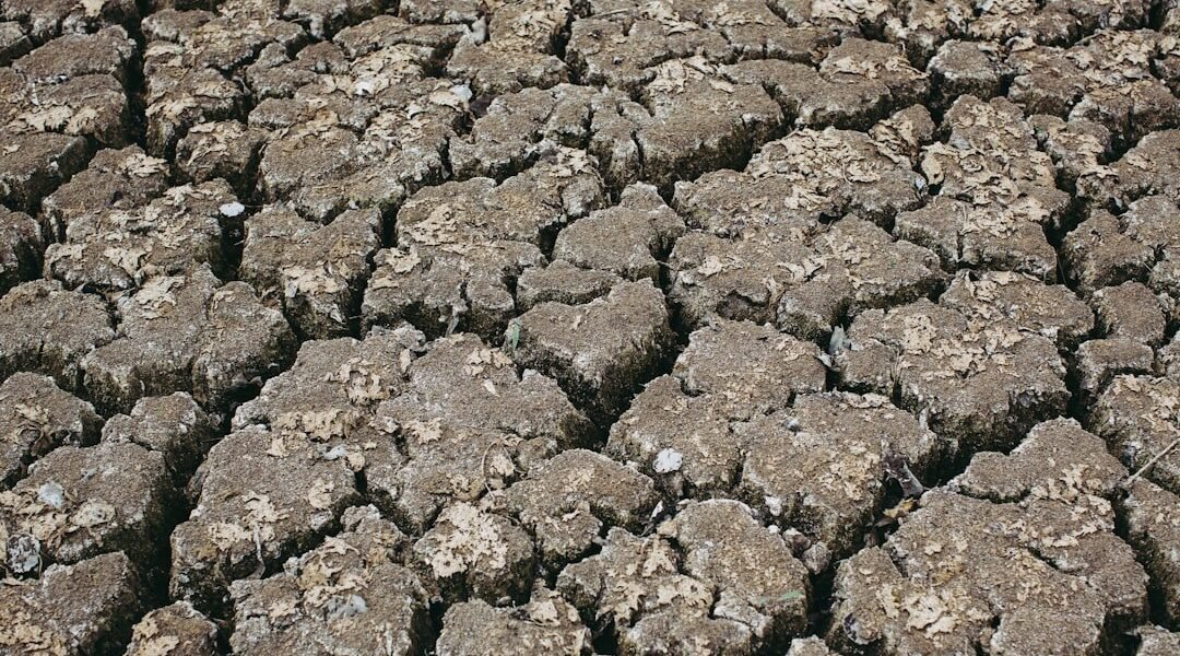 La Tierra se rebela más rápido: cómo el cambio climático acelera en América Latina