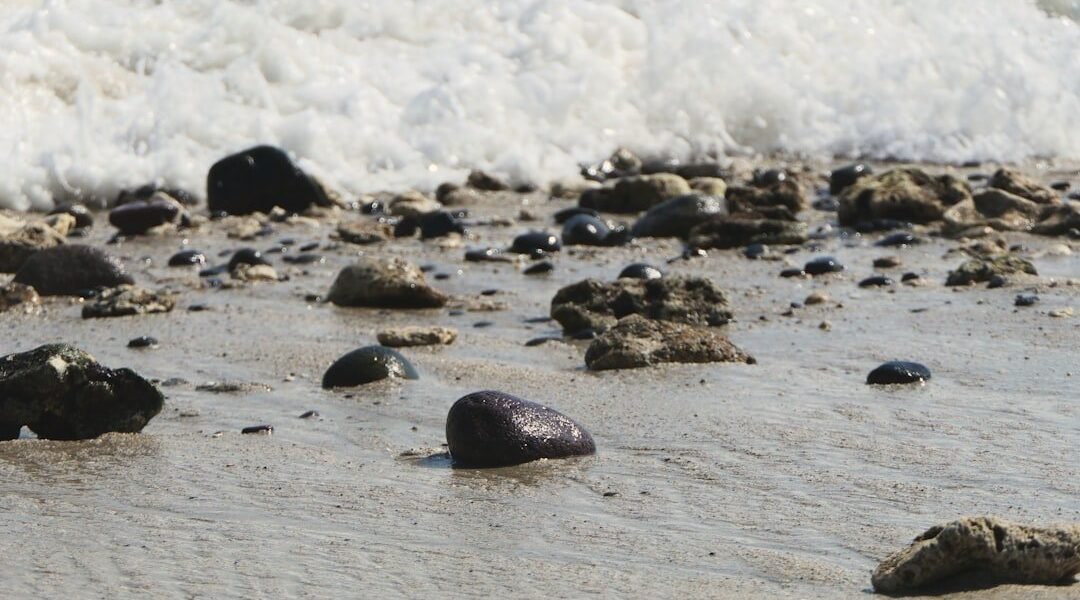 Chapopote invade costas veracruzanas: la crisis ambiental sin respuestas