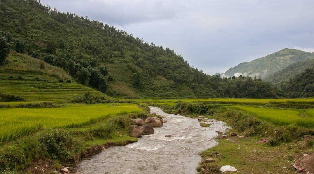 Sonora reconoce siete décadas de agricultura en el Yaqui: entre la herencia y la crisis hídrica