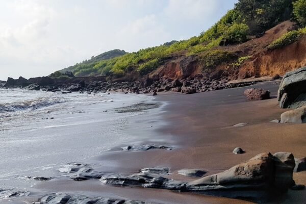 Crudo en el Golfo: Veracruz enfrenta contaminación sin respuestas oficiales