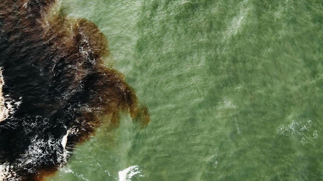 Chapopote invade costas veracruzanas: la crisis de contaminación sin respuestas