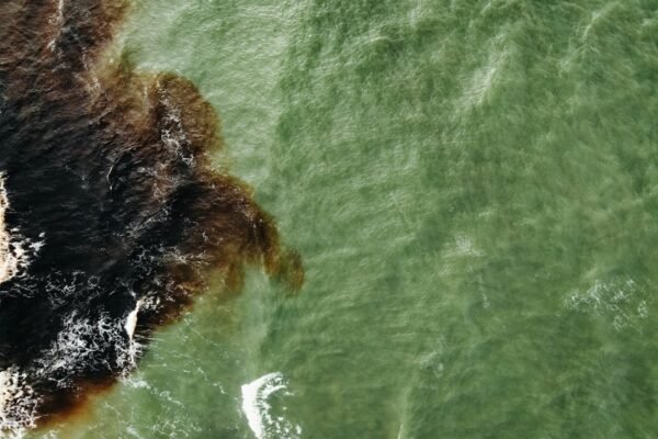 Chapopote invade costas veracruzanas: la crisis de contaminación sin respuestas