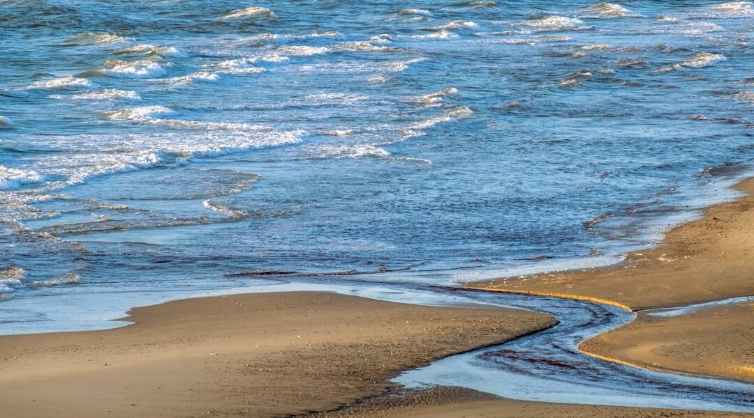 Chapopote invade costas veracruzanas: La falla en la respuesta estatal