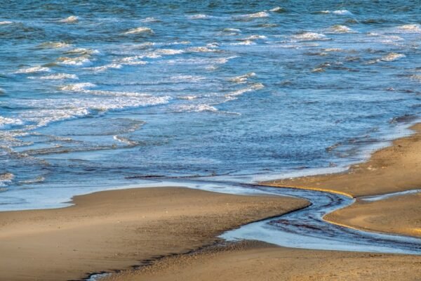 Chapopote invade costas veracruzanas: La falla en la respuesta estatal