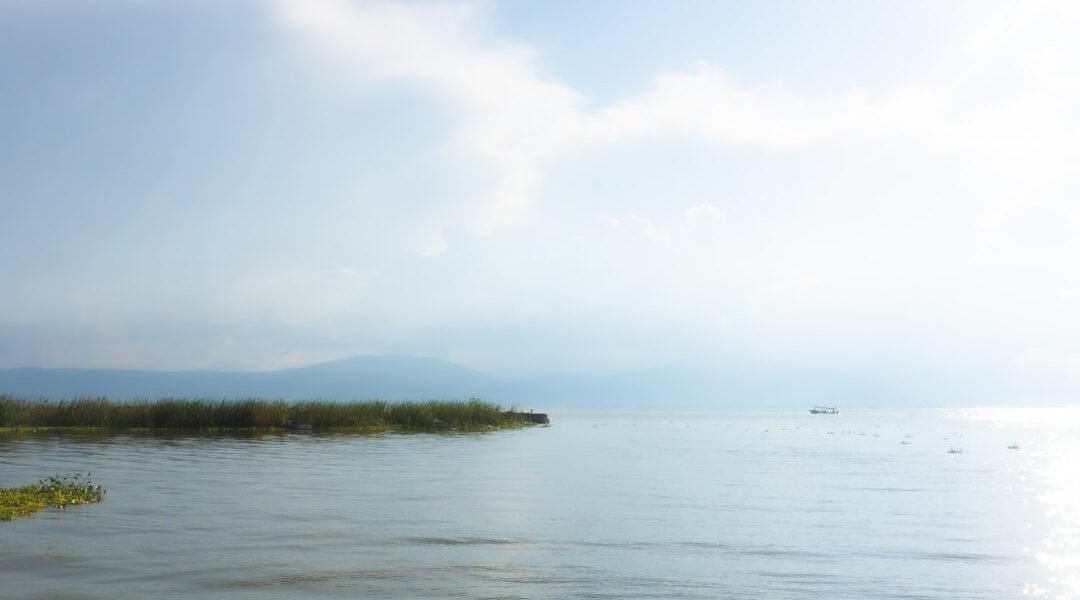 Velasco: cuando la ciencia y el arte convergen en la mirada
