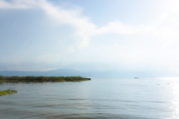 Velasco: cuando la ciencia y el arte convergen en la mirada