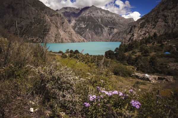 Velasco: cuando la ciencia y el arte pintan el mismo paisaje