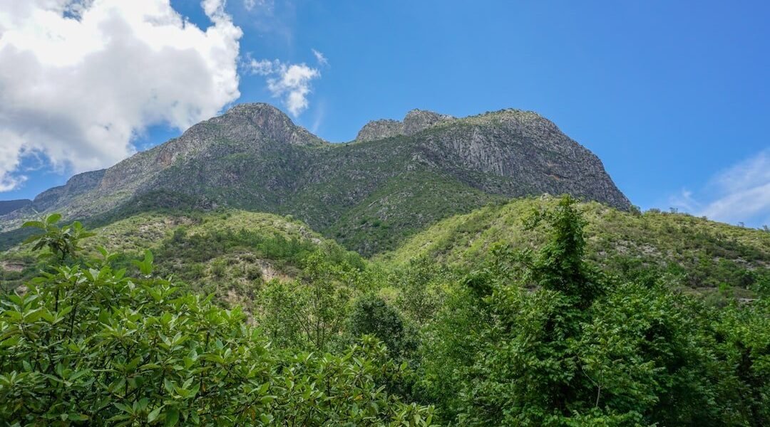 Velasco: cuando la ciencia y el arte pintan el mismo horizonte
