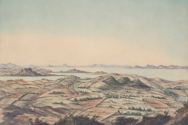 Velasco: cuando la ciencia y el arte revelan el alma de América Latina