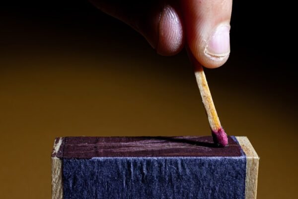 Cuando la reforma electoral se estanca: el dilema institucional de México