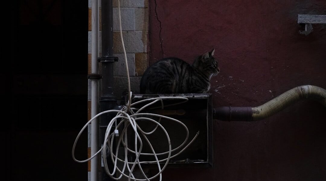 Cuando cae Telegram: la fragilidad de nuestras comunicaciones digitales