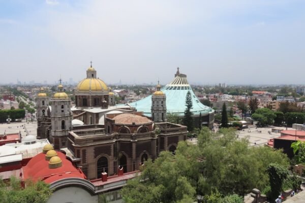 La erosión del poder: cuando la impulsividad desplaza la gobernanza