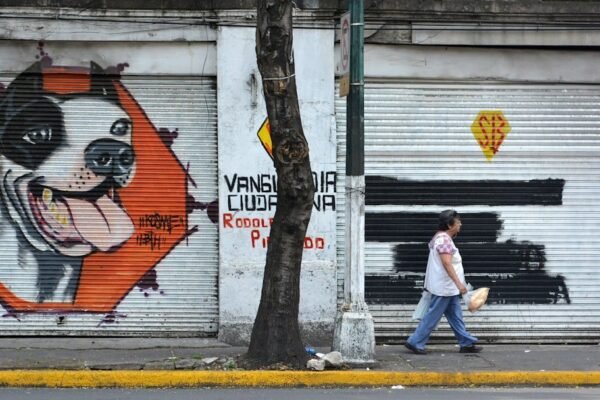 Debate sobre la estructura del INE: entre eficiencia presupuestaria y funcionalidad electoral