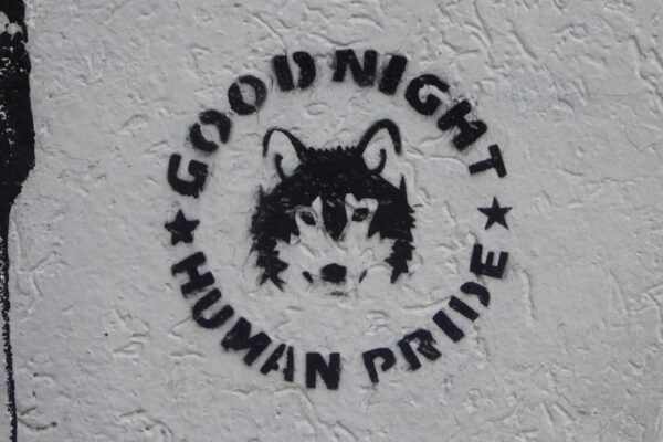 Derechos humanos y mega eventos: el desafío mexicano en tiempos de cambio