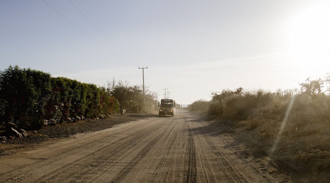 Sonora recibirá 30 millones de pesos del Programa Sembrando Vida para 5 mil productores
