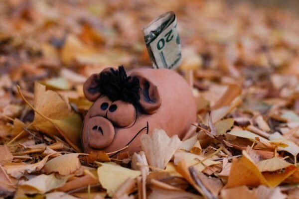 Dictamen unánime avanza reforma que ajusta pensiones de funcionarios públicos