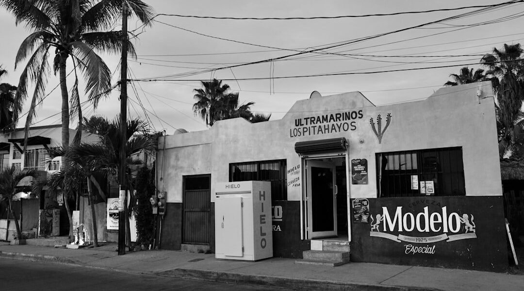 Olinia busca 200 millones de dólares para fabricar autos eléctricos en México