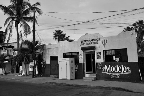 Olinia busca 200 millones de dólares para fabricar autos eléctricos en México