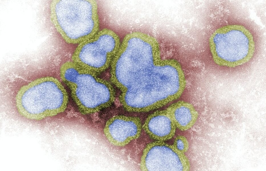 México enfrenta epidemia de sarampión con más de 10 mil casos confirmados