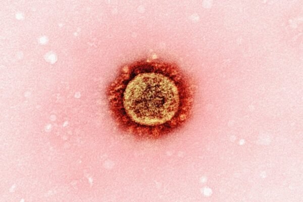 Sonora refuerza vacunación ante resurgimiento de sarampión en el país