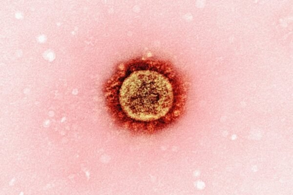 México enfrenta epidemia de sarampión con más de 10 mil casos confirmados