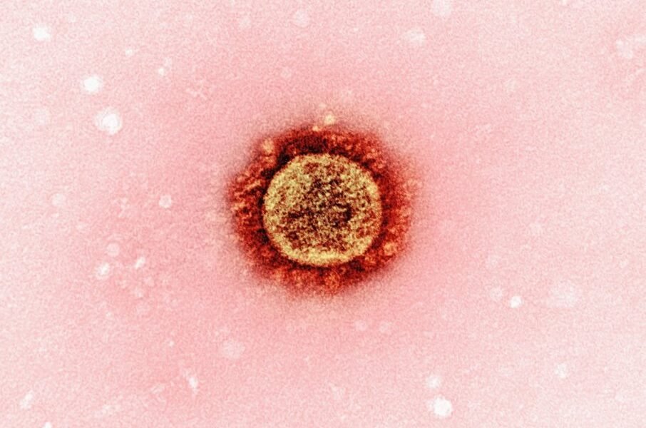 México enfrenta epidemia de sarampión con más de 10 mil casos confirmados