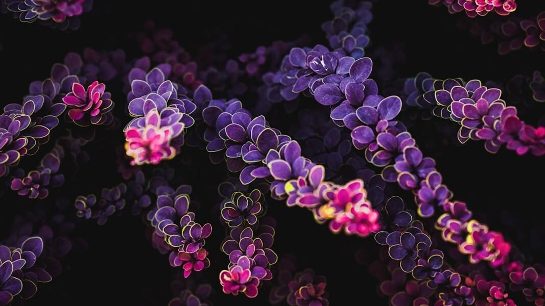 México avanza hacia la medicina de precisión con su primer gran mapa genómico