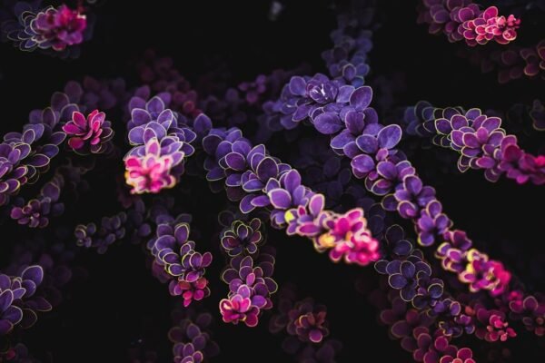 México avanza hacia la medicina de precisión con su primer gran mapa genómico