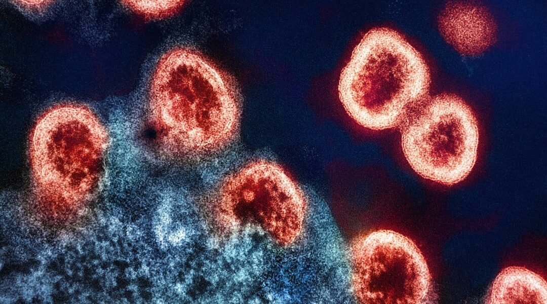 Sarampión en México: cifras críticas que alertan a Latinoamérica