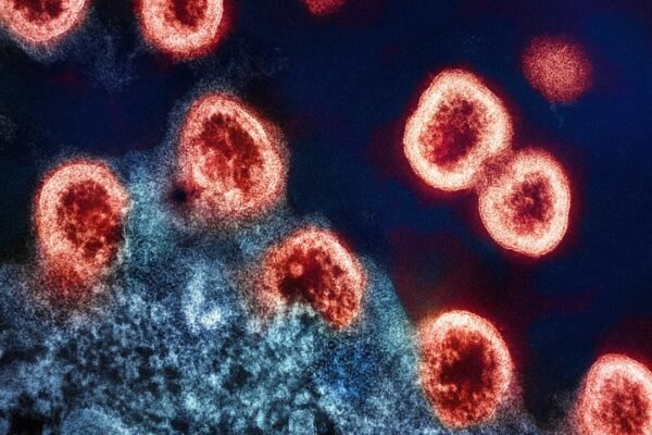 Sarampión en México: cifras críticas que alertan a Latinoamérica