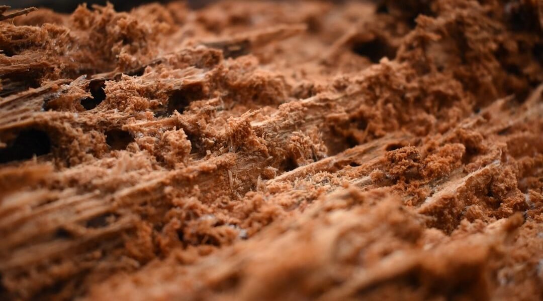 Metales pesados en chocolate: qué encontró Profeco y cómo protegerse