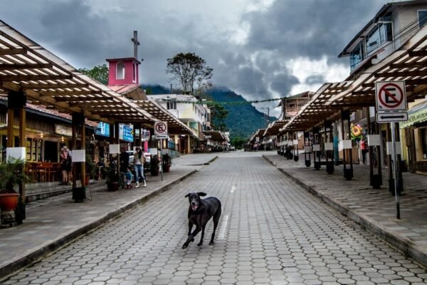 Presuntos narcotraficantes ecuatorianos enfrentan acciones legales en España
