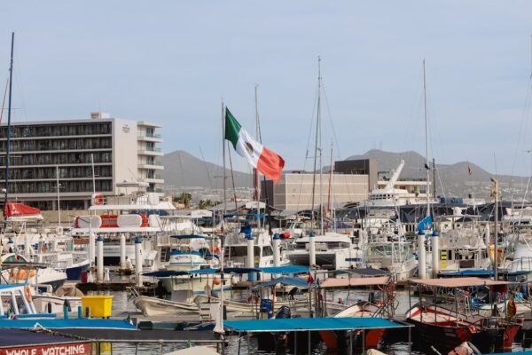 Sheinbaum responde a Trump: México busca cooperación en seguridad, no intervención