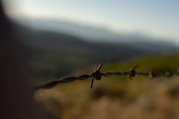Muere Carlos Spector, defensor de migrantes en la frontera México-Estados Unidos