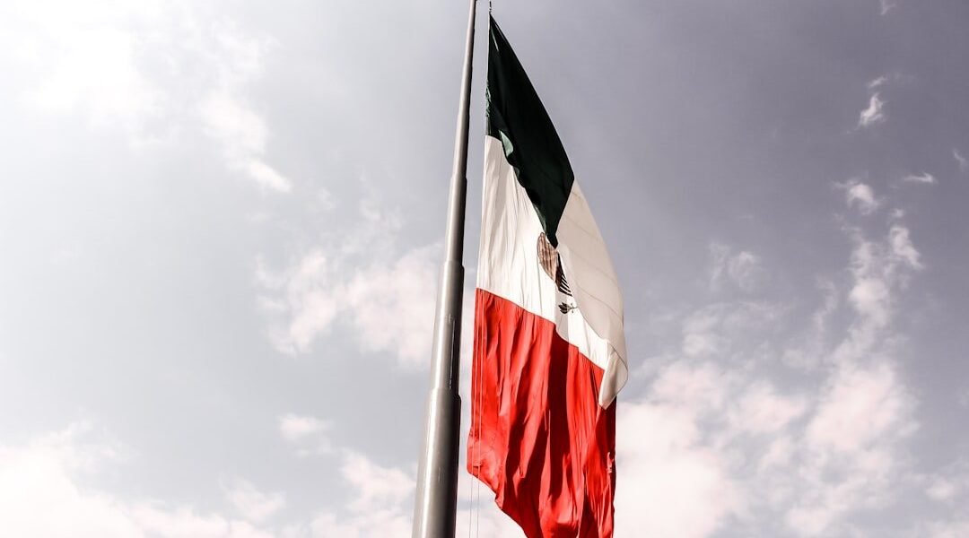 Trump cuestiona estrategia mexicana contra el crimen organizado