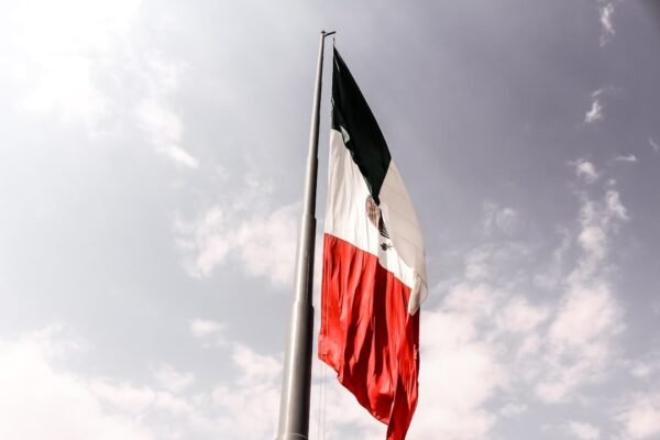 Trump cuestiona estrategia mexicana contra el crimen organizado