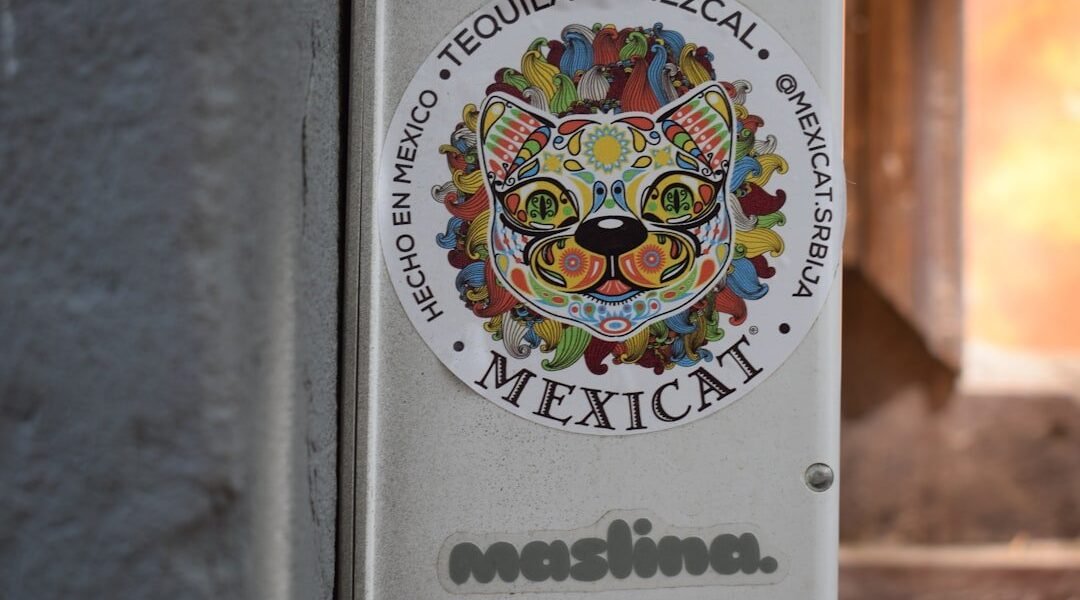 Sheinbaum aborda seguridad y política en conferencia matutina del 20 de marzo