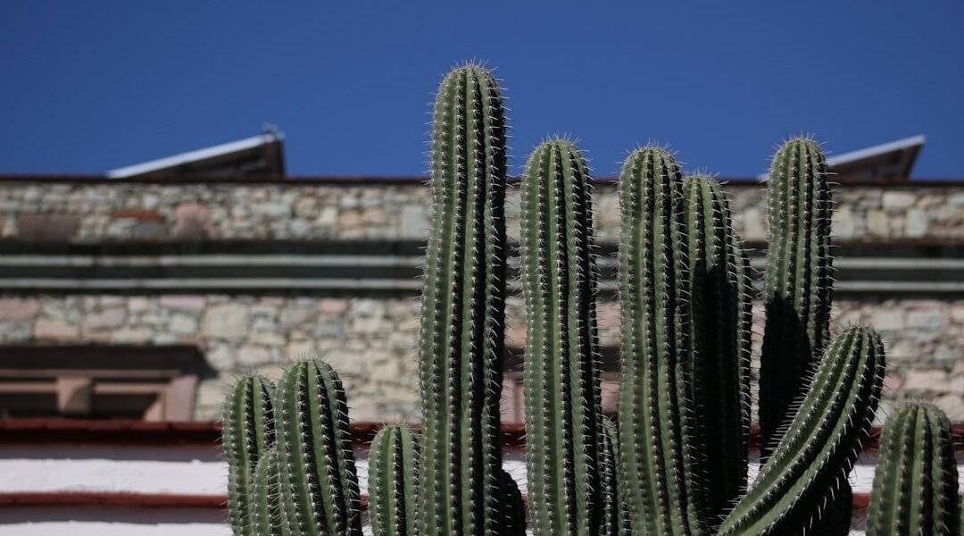 Madrid intensifica críticas sobre seguridad en México mientras persiste disputa diplomática