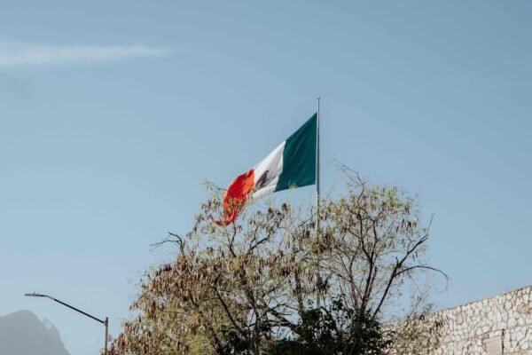 Giro inesperado: El PVEM y la incertidumbre sobre la reforma electoral