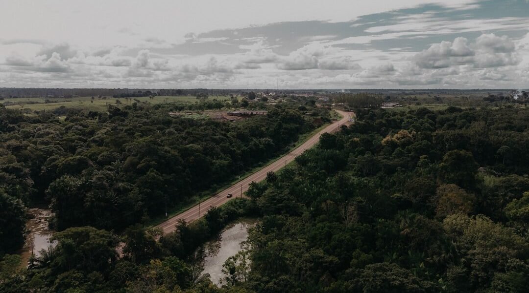 Guardianes de la tierra: cómo los pueblos indígenas se defienden solos
