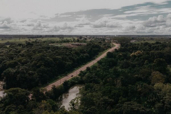 Guardianes de la tierra: cómo los pueblos indígenas se defienden solos