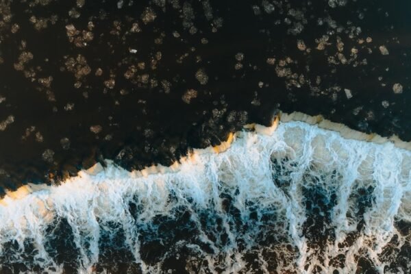 Golfo de México: tres focos de contaminación que amenazan playas veracruzanas