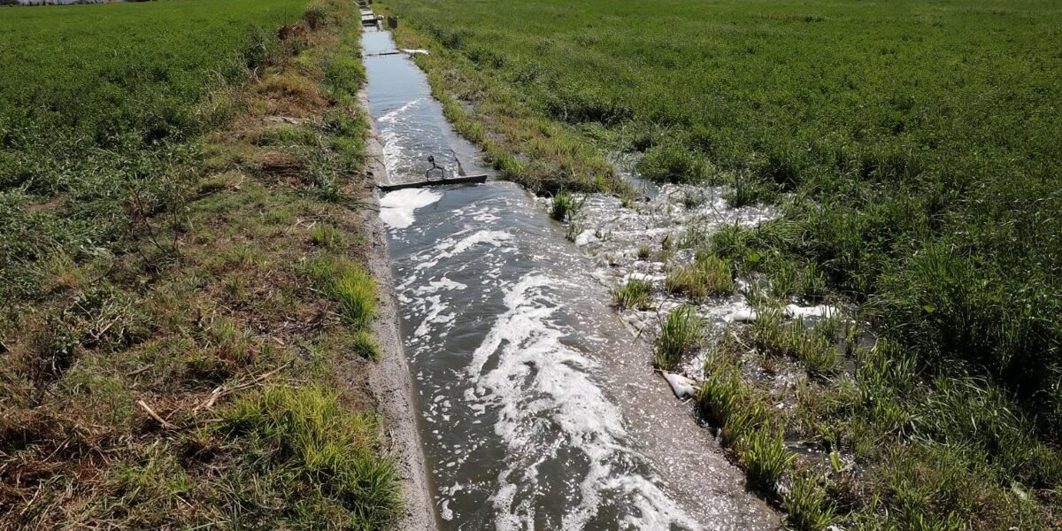 Estado mexicano rehabilita 6 km de canales de riego en Apaxco y Tequixquiac