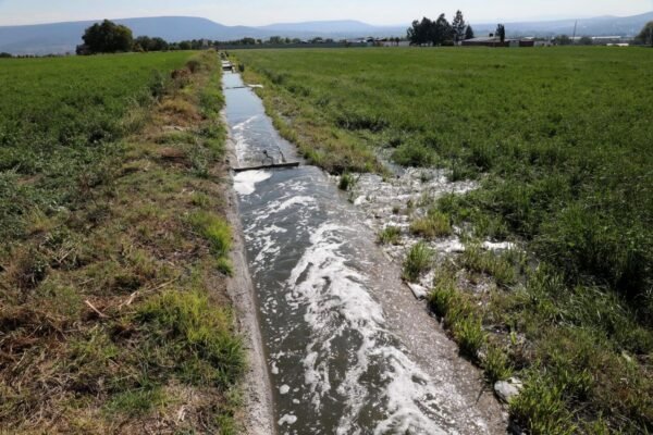 Estado mexicano rehabilita 6 km de canales de riego en Apaxco y Tequixquiac