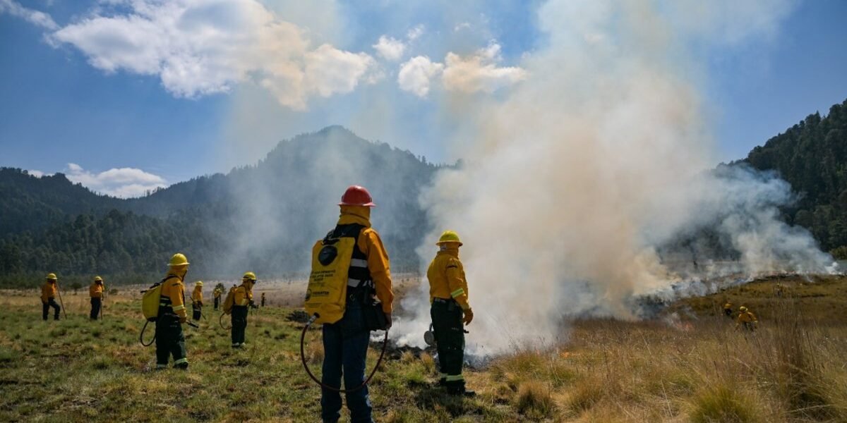 Más de 5 mil brigadistas se capacitan para combatir incendios forestales