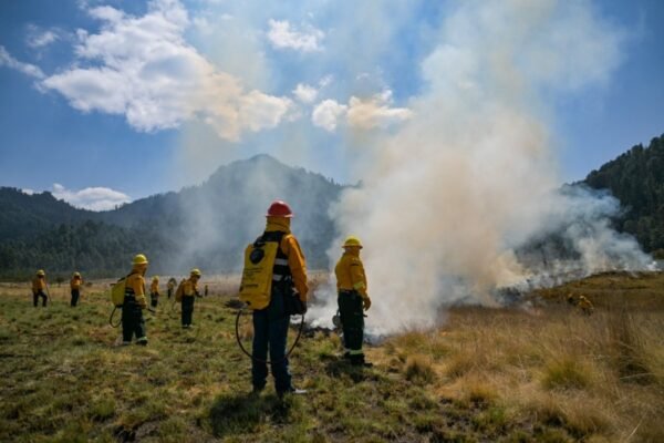 Más de 5 mil brigadistas se capacitan para combatir incendios forestales