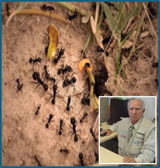 Mencho, corrupción legislativa y crisis municipal: el caos político mexicano